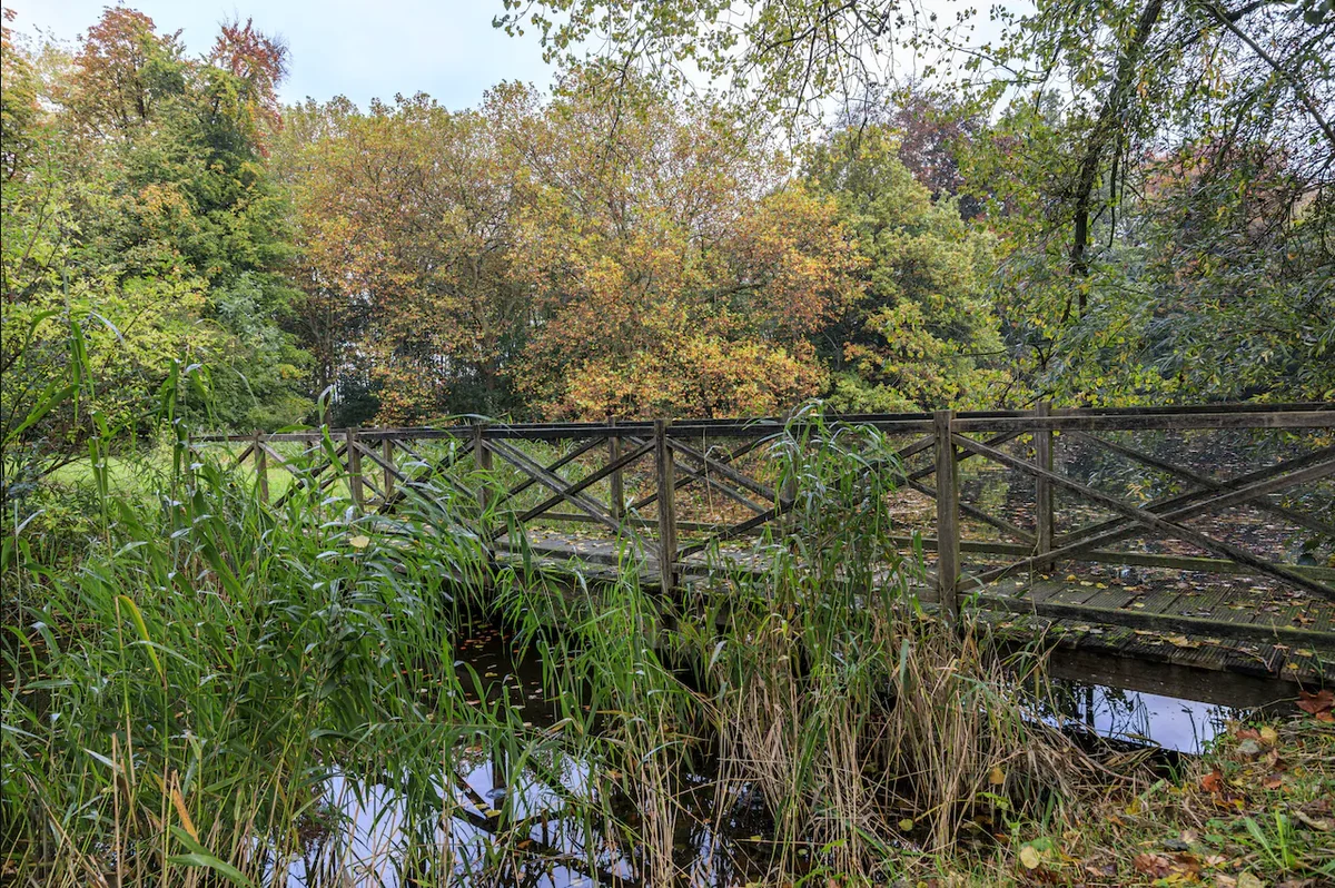 Vijverbos